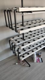 Nft Plus 144 İndoor Topraksız Tarım Üretim Sistemi - Görsel 7