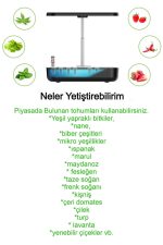 Akıllı Ev Bahçesi – 4 Mevsim Topraksız Doğal Bitki ve Sebze Yetiştirme Kiti, 12 Bölmeli Sistem - Görsel 6