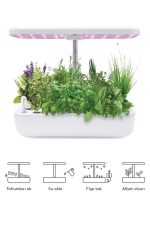 Akıllı Ev Bahçesi – 4 Mevsim Topraksız Doğal Bitki ve Sebze Yetiştirme Kiti, 12 Bölmeli Sistem - Görsel 3