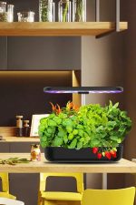 Akıllı Ev Bahçesi – 4 Mevsim Topraksız Doğal Bitki ve Sebze Yetiştirme Kiti, 12 Bölmeli Sistem - Görsel 2